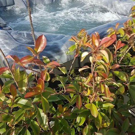 Bed & Breakfast Del Faro Giovinazzo