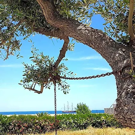 Del Faro Panzió Giovinazzo