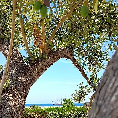 Del Faro Giovinazzo