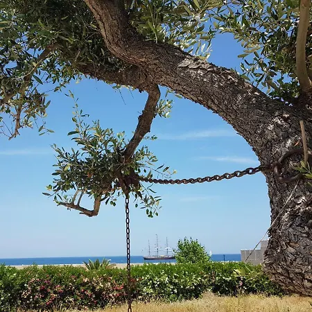 Bed & Breakfast Del Faro